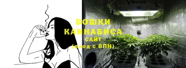 МДПВ Бронницы