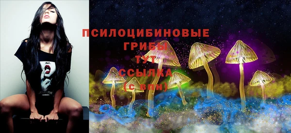 метадон Бородино