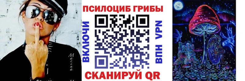 Псилоцибиновые грибы мицелий  Купить  Верхоянск 